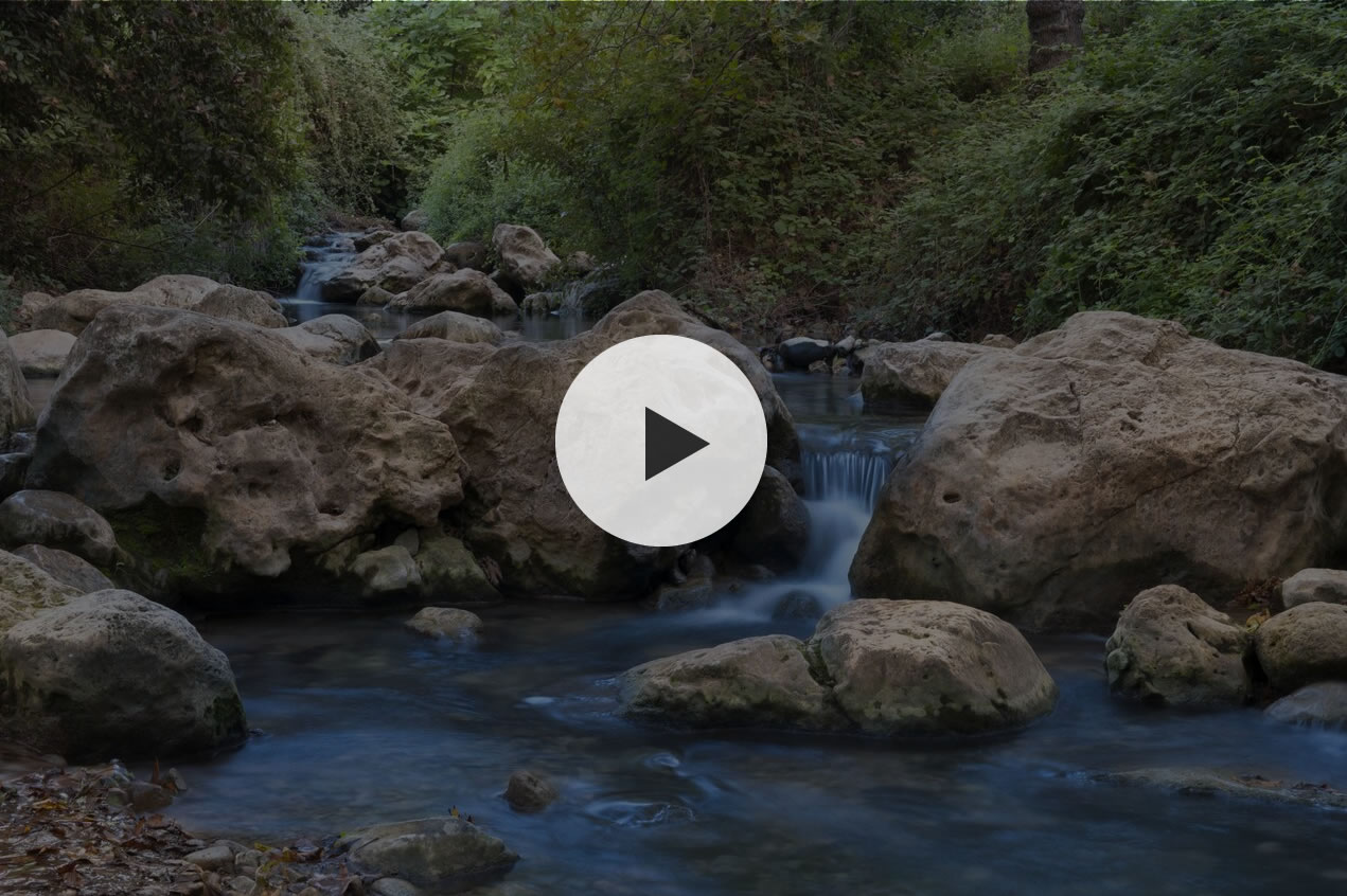 Video: Mikvah Journeys